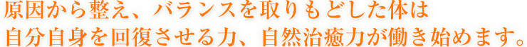 原因から整え、バランスを取りもどした体は自分自身を回復させる力、自然治癒力が働き始めます。